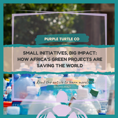 Small Initiatives, Big Impact: How Africa's Green Projects Are Saving the World
