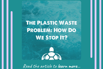 The Plastic Waste Problem: How Do We Stop It?