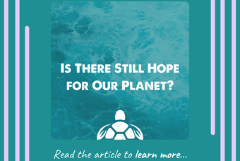 Is There Still Hope for Our Planet?
