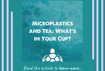 Microplastics and Tea: What's in Your Cup?
