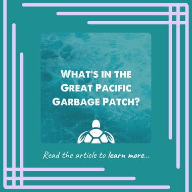 What’s in the Great Pacific Garbage Patch?