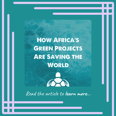 Small Initiatives, Big Impact: How Africa's Green Projects Are Saving the World
