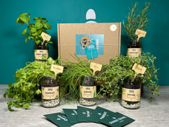 Grow Your Own Herbs Gift Set