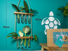 Load image into Gallery viewer, Plant Propagation Gift Set #4
