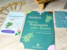 Load image into Gallery viewer, Plant Propagation Gift Set #4