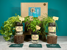 Load image into Gallery viewer, Grow Your Own Herbs Gift Set