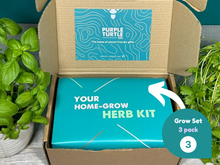 Load image into Gallery viewer, Grow Your Own Herbs Gift Set