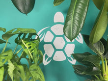 Load and play video in Gallery viewer, 11 x Funny Mushroom Plant Stakes + Gift Box | 100% Eco-Friendly Bamboo | Plant Gifts | Gifts For Plant Lovers | + Free Plant App Membership