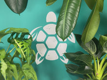 Load and play video in Gallery viewer, Grow Your Own Herbs Gift Set