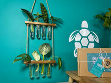 Load image into Gallery viewer, Plant Propagation Gift Set #4