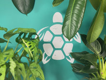 Load and play video in Gallery viewer, Plant Propagation Gift Set #5
