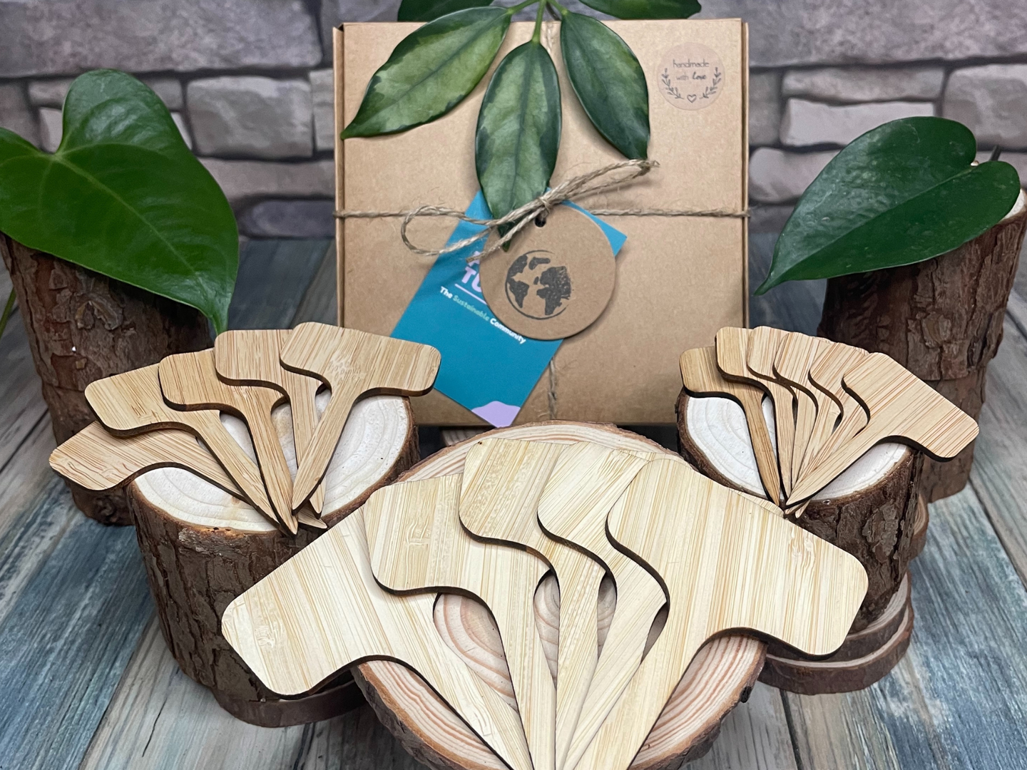 Stakes Bamboo Plant Naming Labels Gift Set