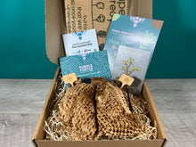 Load image into Gallery viewer, Plant Propagation Gift Set #3