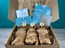 Load image into Gallery viewer, Plant Propagation Gift Set #3