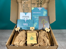 Load image into Gallery viewer, Plant Propagation Gift Set #2