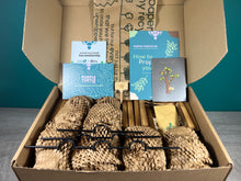 Load image into Gallery viewer, Plant Propagation Gift Set #2