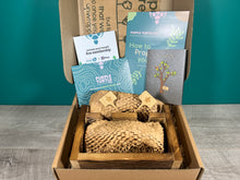 Load image into Gallery viewer, Plant Propagation Gift Set #5
