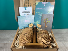 Load image into Gallery viewer, Plant Propagation Gift Set #1