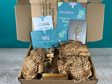 Load image into Gallery viewer, Plant Propagation Gift Set #1