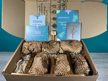 Load image into Gallery viewer, Plant Propagation Gift Set #1