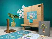 Load image into Gallery viewer, Plant Propagation Gift Set #1