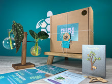 Load image into Gallery viewer, Plant Propagation Gift Set #1