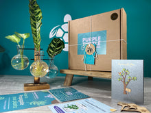 Load image into Gallery viewer, Plant Propagation Gift Set #1