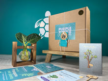 Load image into Gallery viewer, Plant Propagation Gift Set #5