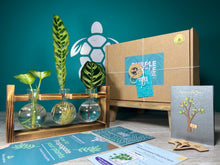 Load image into Gallery viewer, Plant Propagation Gift Set #5