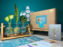 Load image into Gallery viewer, Plant Propagation Gift Set #2