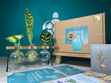 Load image into Gallery viewer, Plant Propagation Gift Set #3