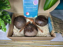 Load image into Gallery viewer, Coconut Bowl Vegan Gift Set
