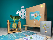 Load image into Gallery viewer, Plant Propagation Gift Set #2