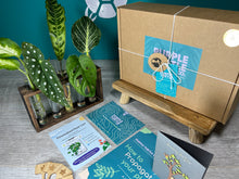 Load image into Gallery viewer, Plant Propagation Station Gift Set + Gift Box | Plant Lovers Gift | Gifts For Her | Grow Your Own Plants | + Free Plant Care App Membership