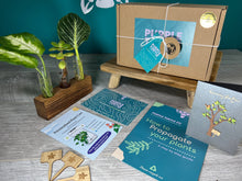 Load image into Gallery viewer, Handcrafted 3 Tube Plant Propagator + Gift Box | Plant Lovers Gift | Gifts For Her | Plant Cuttings | + Free Plant Care App Membership
