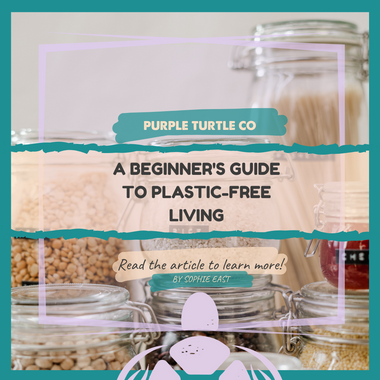 A Beginner's Guide to Plastic-Free Living