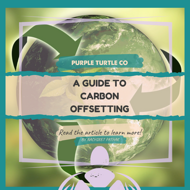 A Guide to Carbon Offsetting [2021]