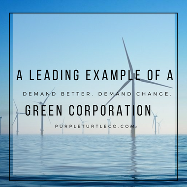 How One Corporation Chose Green: Ørsted