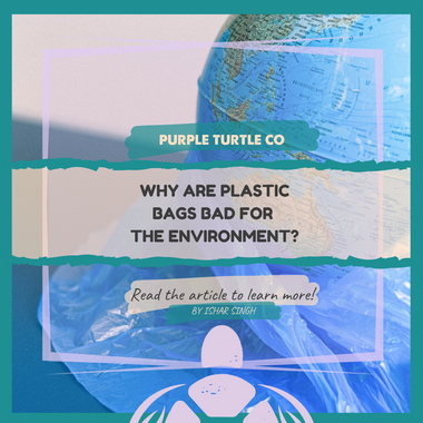 Why Are Plastic Bags Bad for the Environment?