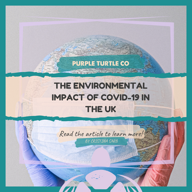 The Environmental Impact of COVID-19 in the UK