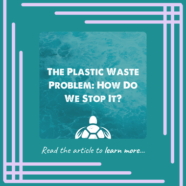 The Plastic Waste Problem: How Do We Stop It?