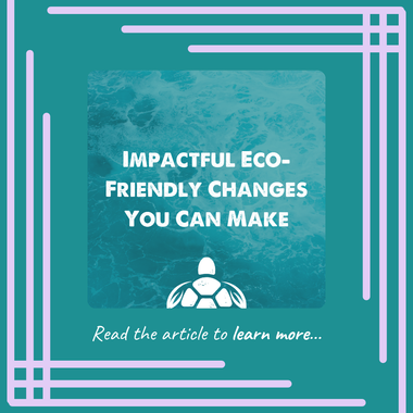 Impactful Eco-Friendly Changes You Can Make