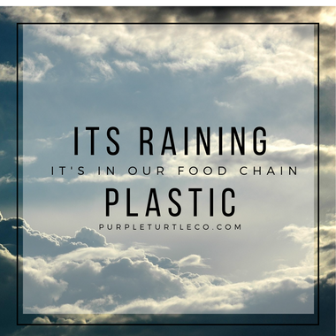 Raining Plastic: Plastic is falling from the sky