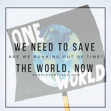We Need to Save the World, NOW