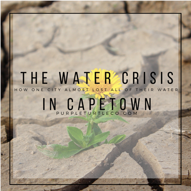 What You Need to Know About Capetown's Water Crisis