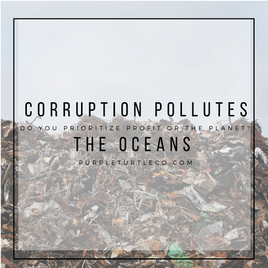 The Influence of Corruption on Plastic Pollution