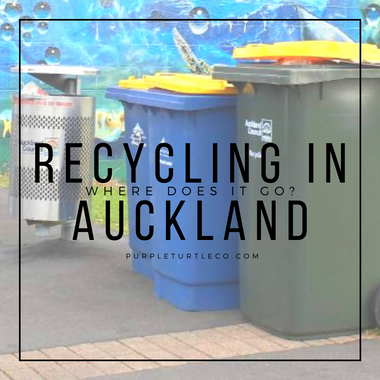 What happens to my Recycling in Auckland?
