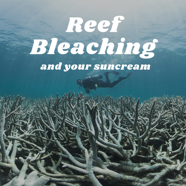 Sun Cream is Damaging Coral Reefs