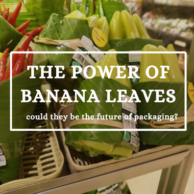 Banana Leaves: Can they replace plastic packaging?