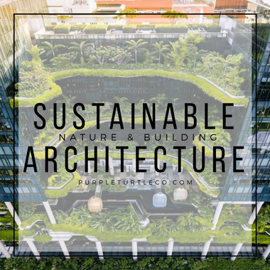 Sustainable Architecture: Where Architecture meets Nature